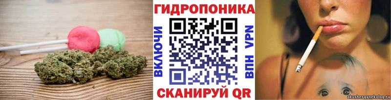 MEGA как зайти  Дивногорск  Cannafood марихуана 