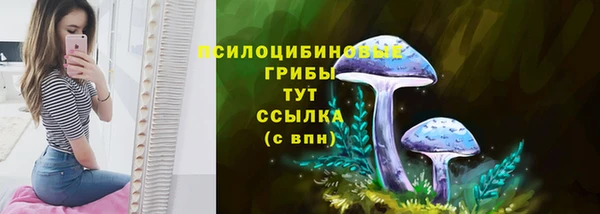 сатива Абаза