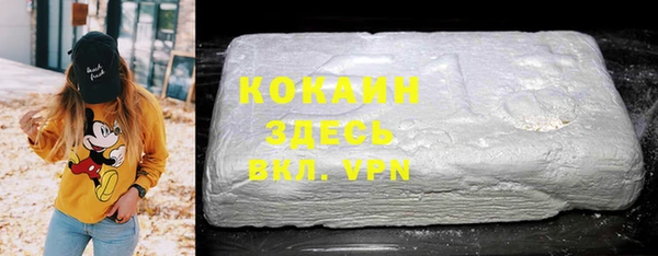 дмт Алексин