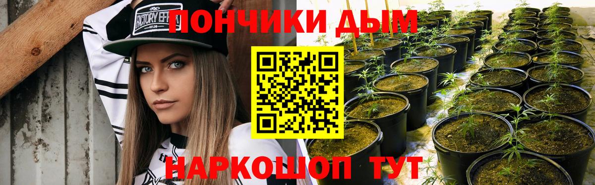 Конопля индика Дивногорск